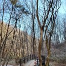 장안3교 이미지