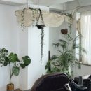 바비미용실 이미지