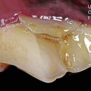 해옴동물병원 이미지