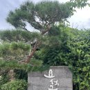풍기애삼 | 경주 울산 상견례 요석궁 1779 한식 한옥 파인 다이닝 최부자집 한정식