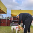 그루비독 이미지