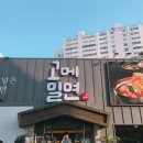 엔제리너스 신모라 이미지