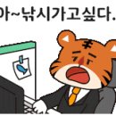 안골 낚시터 이미지