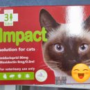 솔모루약국 이미지