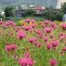 해바라기재능유치원 이미지