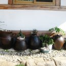 예송민박 이미지