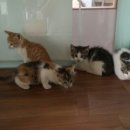 신공항동물병원 이미지