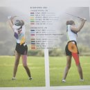 스윙의 기초 이미지