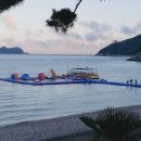 카누720애견풀빌라 이미지