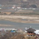 섬진강봄소식 이미지