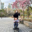 에이블카케어 | [내돈내산]에이블유모카플러스 트라이크 휴대용유모차 후기