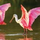 진홍농장 이미지