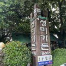 성미야채 | 성미가든 | 제주도 조천 맛집 닭 샤브샤브, 백숙, 닭볶음탕 맛집 • 제주도에서 복날엔 여기!