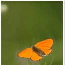 주홍 - 동구 동부로30길 25 | 주홍