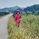 문막시장 이미지