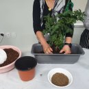 원예,미술치유 이미지