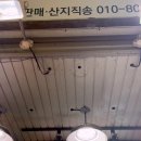 국민활어회초밥