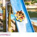 파이브오션 이미지