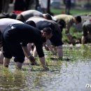 남포농장 이미지