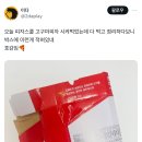 피자스쿨 이미지