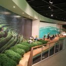 한국차박물관 이미지