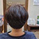 맹선생헤어살롱 네이버블로그