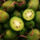 금이농장 이미지