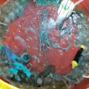 무안상회 이미지