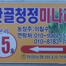 화원자연휴양림 이미지