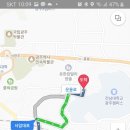 그린피스고흥