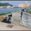 영가로(동부동) 이미지