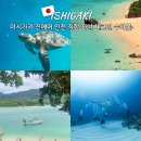 (주)새한글로벌렌터카 | 진에어 이시가키 인천 직항 LJ361, LJ362 비행시간 수하물 좌석 체크인 꿀팁 총정리