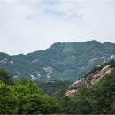 천태산주차장 Daum카페