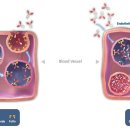 (주)모드 이미지
