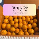 건이농장 | 조생귤 제대로 고른 후기｜건이농장 제주 서귀포 고당도귤 5KG, 아이간식부터 과일선물까지 만족