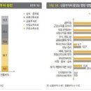 신흥부자