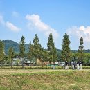 도솔광장 농구장 네이버블로그