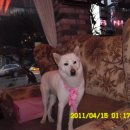 해피올동물병원 이미지