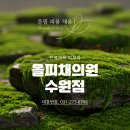 올림 피움 채움 올피채의원 수원점 이미지