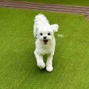 멍탑방 이미지