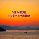 에코힐링