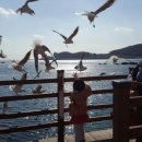 오가다짬뽕 이미지