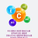데일리네이처
