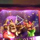 자연키즈어린이집