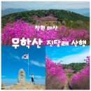 서원곡 백운사 앞 | [창원] 무학산 진달래 산행 / 백운사 출발 학봉 코스