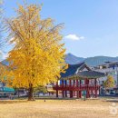 분수대길 이미지