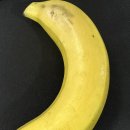 풋살구내식당