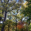 표충사놀이터(=표충사야영장) 이미지