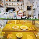 애니멀 쉐프 이미지