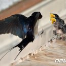 두호1시장 이미지